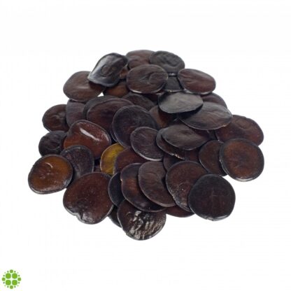 Yopo, Anadenanthera peregrina 5 gr - semi - immagine 2