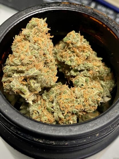 Skunk #1 di Sensi Seeds, 3 semi - immagine 2