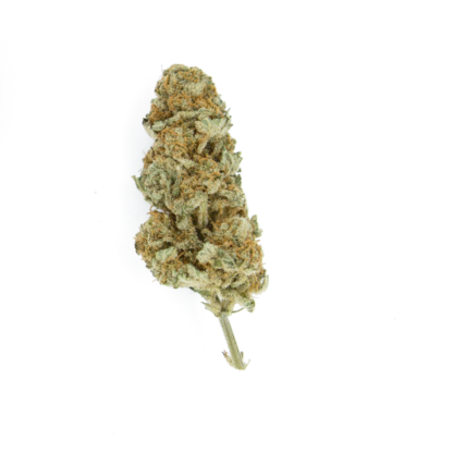 Northern Light Royal Queen Seeds, 5 semi - immagine 3