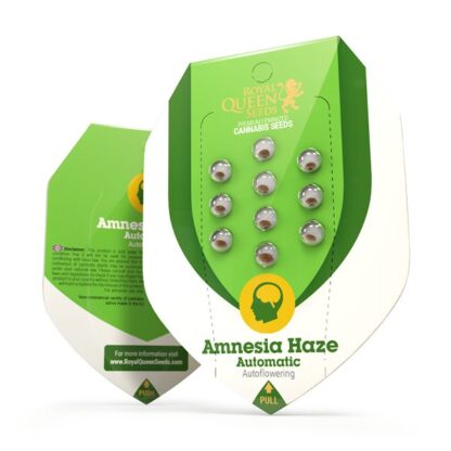 semi Amnesia Haze Automatic by Royal Queen Seeds