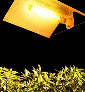 Lampade HPS / HM / CMH