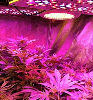 Lampade LED