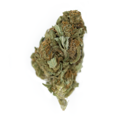 Chocolate Haze by Royal Queen Seeds, 5 semi - immagine 2