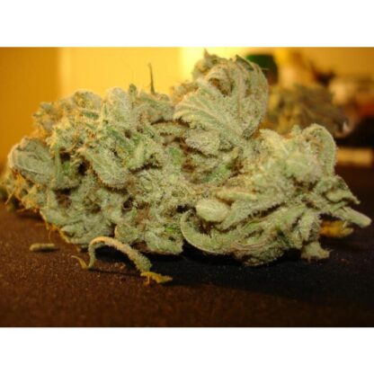 semi Ice Cream by Paradise Seeds - immagine 3