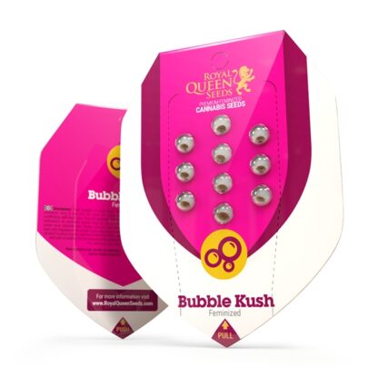 semi Bubble Kush by Royal Queen Seeds