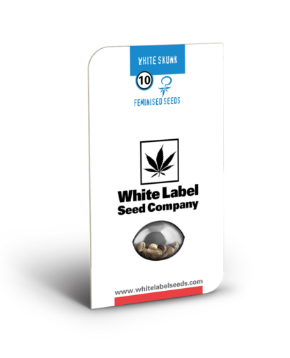 White Skunk by White Label, 3 semi - immagine 2