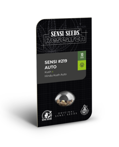 Semi di Sensi #219 Auto [Kush x Hindu Kush Auto] - immagine 2