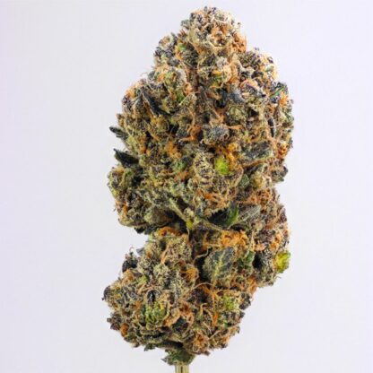 semi Sweet ZZ, Royal Queen Seeds - immagine 2
