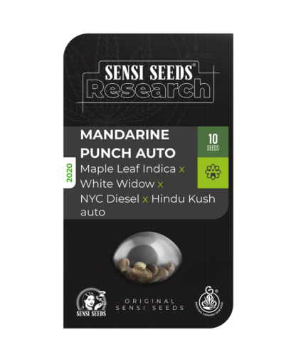 semi di Mandarine Punch Auto, Sensi seeds
