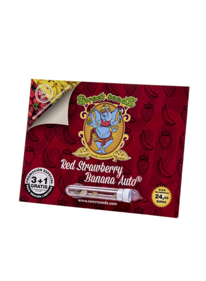 RED STRAWBERRY BANANA AUTO® by Sweet seeds, 1 seme