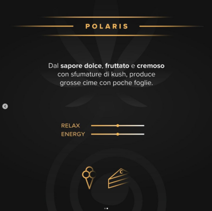 Polaris, Primitiae Genetics - immagine 2