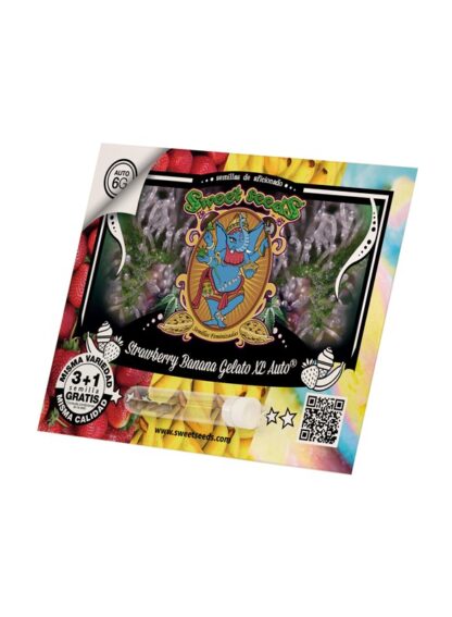 Strawberry Banana Gelato XL Auto® 3 semi + 1 OMAGGIO