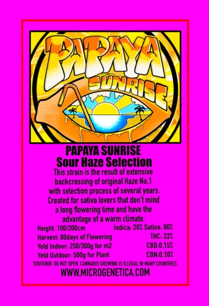 PAPAYA SUNRISE - MicroGenetica, 3 semi