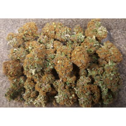 Pineapple Poison ® Super Sativa Seed Club - immagine 10