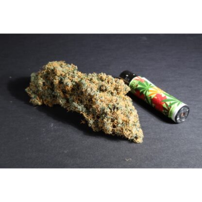 Pineapple Poison ® Super Sativa Seed Club - immagine 14