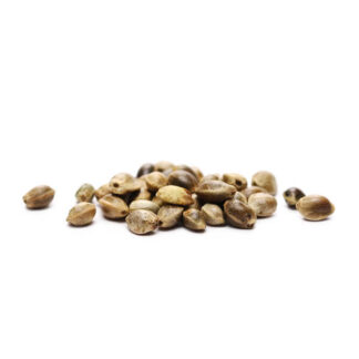 Qualità TOP: Fruity Chronic Juice di Delicious Seeds, 3 Semi