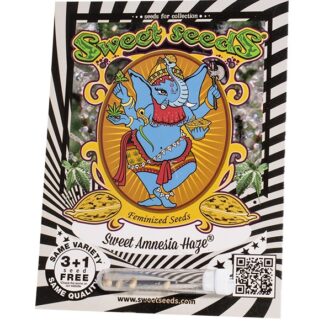 Sweet Amnesia Haze® 3 semi +1 SEME GRATIS